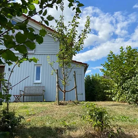 Rapsbluetenhaus Bohnert